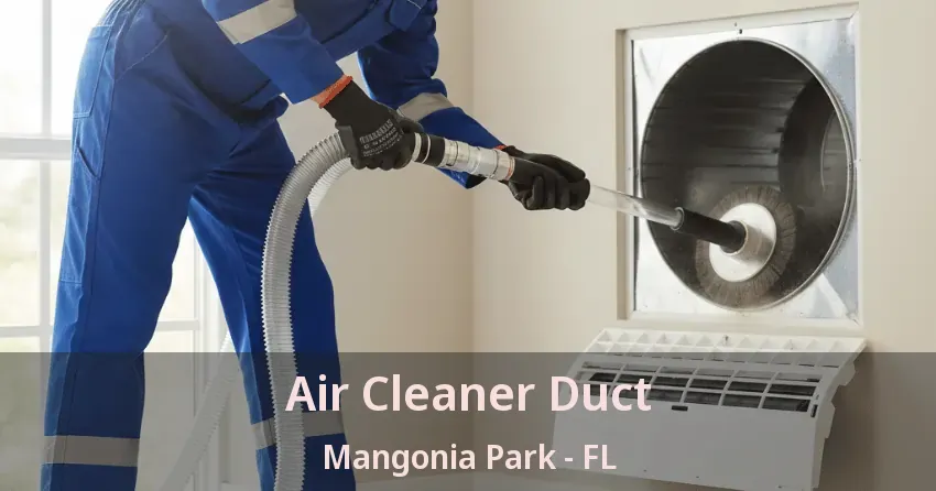 Air Cleaner Duct Mangonia Park - FL