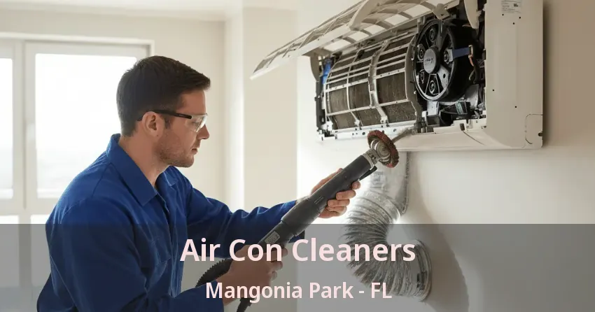 Air Con Cleaners Mangonia Park - FL