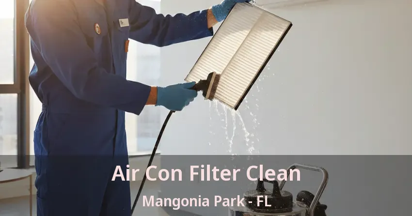 Air Con Filter Clean Mangonia Park - FL Air Con Filter Clean Mangonia Park - FL