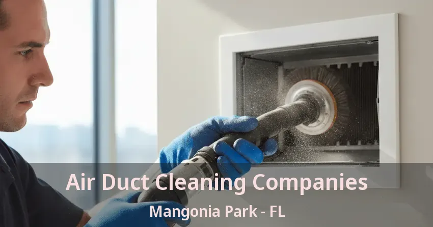 Air Duct Cleaning Companies Mangonia Park - FL