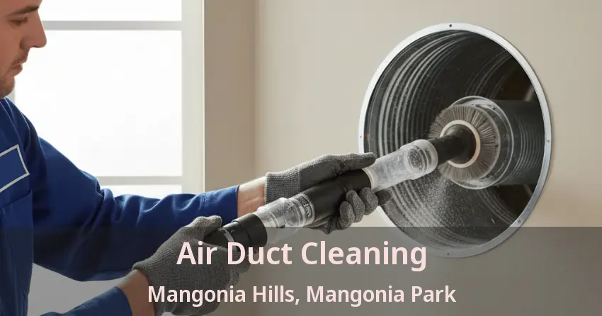 Air Duct Cleaning Mangonia Hills, Mangonia Park - FL