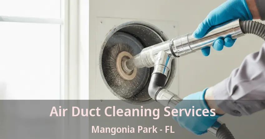 Air Duct Cleaning Services Mangonia Park - FL