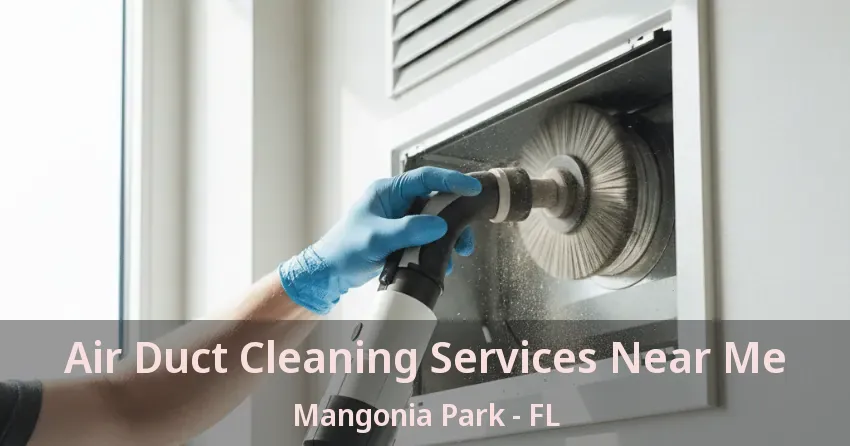 Air Duct Cleaning Services Near Me Mangonia Park - FL