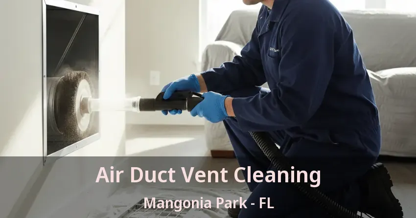 Air Duct Vent Cleaning Mangonia Park - FL
