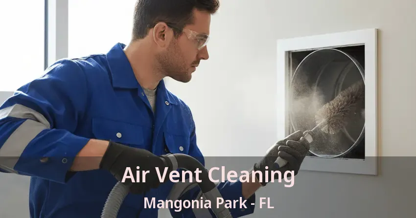 Air Vent Cleaning Mangonia Park - FL