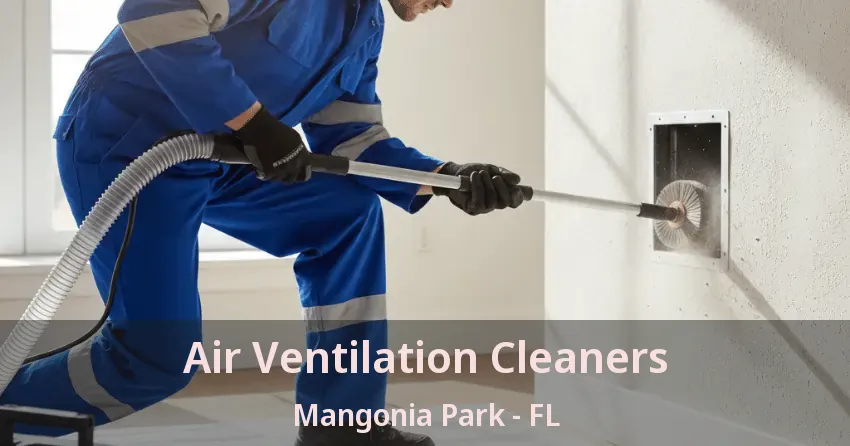 Air Ventilation Cleaners Mangonia Park - FL