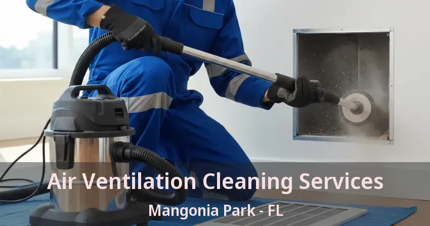 Air Ventilation Cleaning Services Mangonia Park - FL
