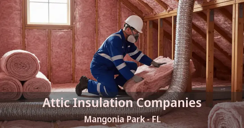 Attic Insulation Companies Mangonia Park - FL