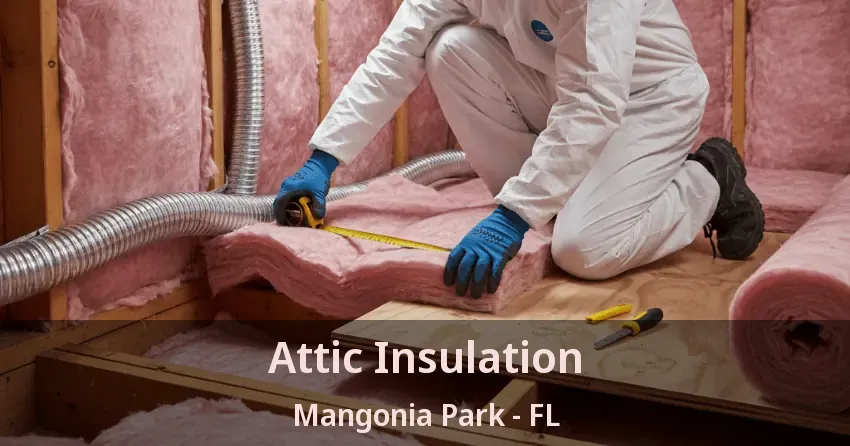 Attic Insulation Mangonia Park - FL