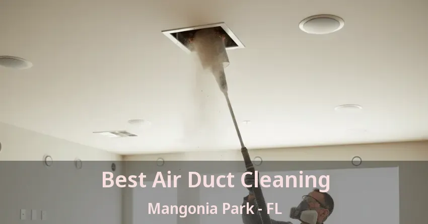 Best Air Duct Cleaning Mangonia Park - FL