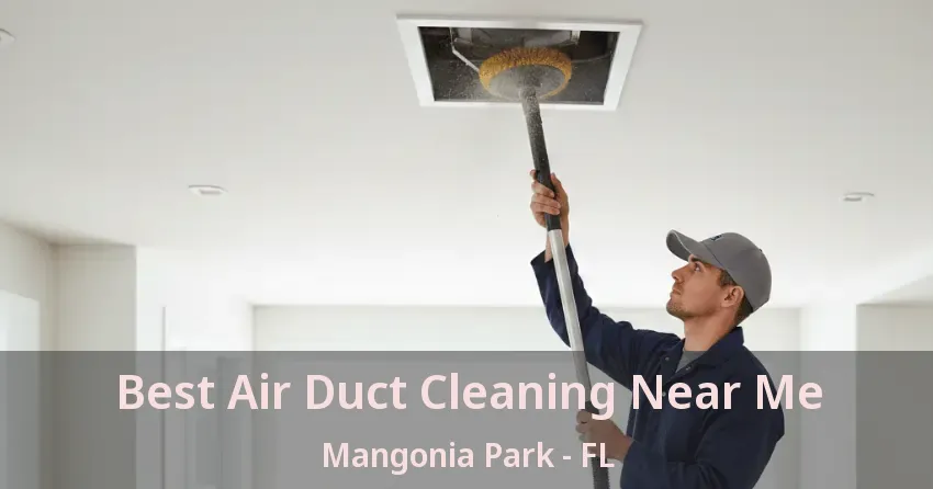 Best Air Duct Cleaning Near Me Mangonia Park - FL