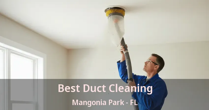 Best Duct Cleaning Mangonia Park - FL