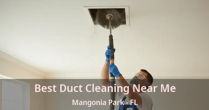 Best Duct Cleaning Near Me Mangonia Park - FL