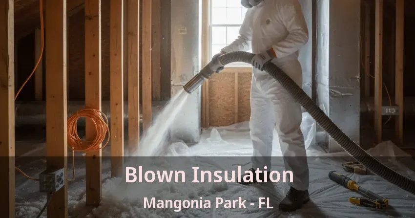 Blown Insulation Mangonia Park - FL Blown Insulation Mangonia Park - FL