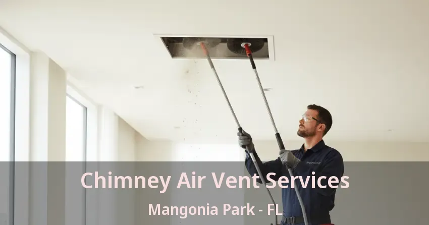 Chimney Air Vent Services Mangonia Park - FL