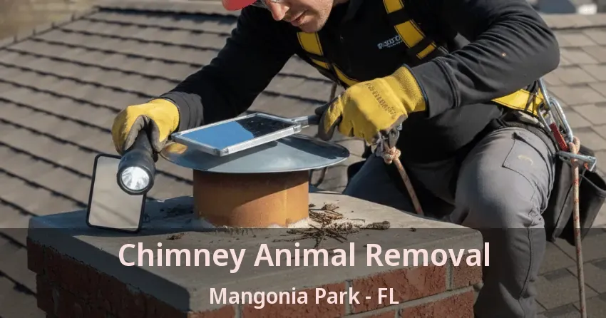 Chimney Animal Removal Mangonia Park - FL
