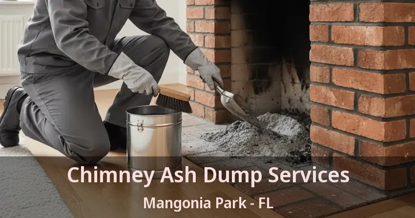 Chimney Ash Dump Services Mangonia Park - FL