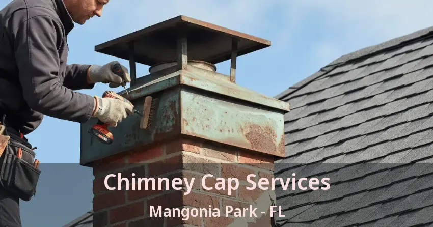 Chimney Cap Services Mangonia Park - FL