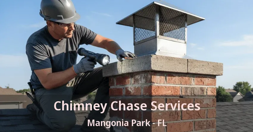Chimney Chase Services Mangonia Park - FL