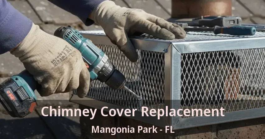 Chimney Cover Replacement Mangonia Park - FL