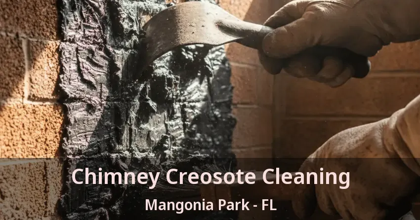 Chimney Creosote Cleaning Mangonia Park - FL