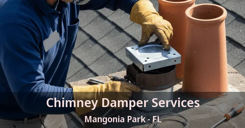 Chimney Damper Services Mangonia Park - FL