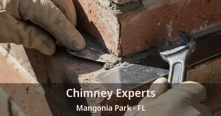 Chimney Experts Mangonia Park - FL