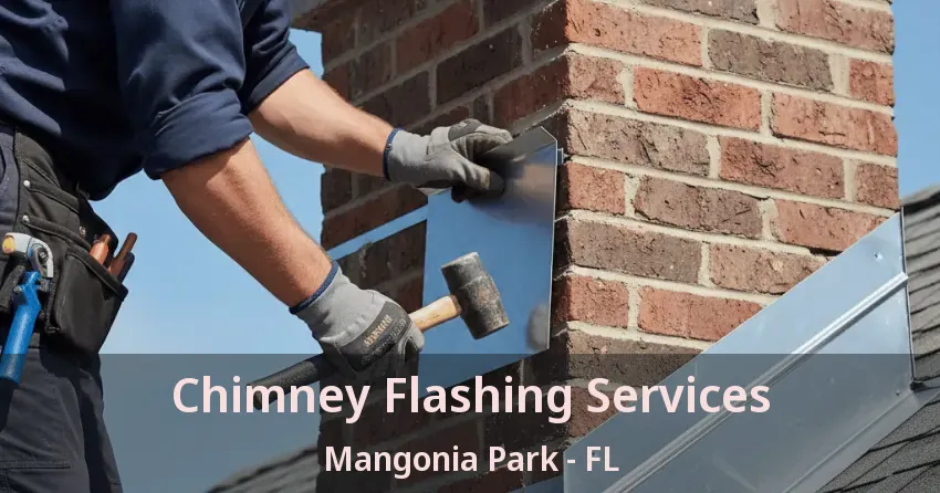 Chimney Flashing Services Mangonia Park - FL Chimney Flashing Services Mangonia Park - FL