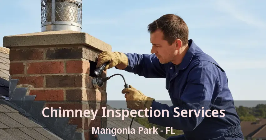 Chimney Inspection Services Mangonia Park - FL