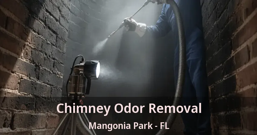 Chimney Odor Removal Mangonia Park - FL