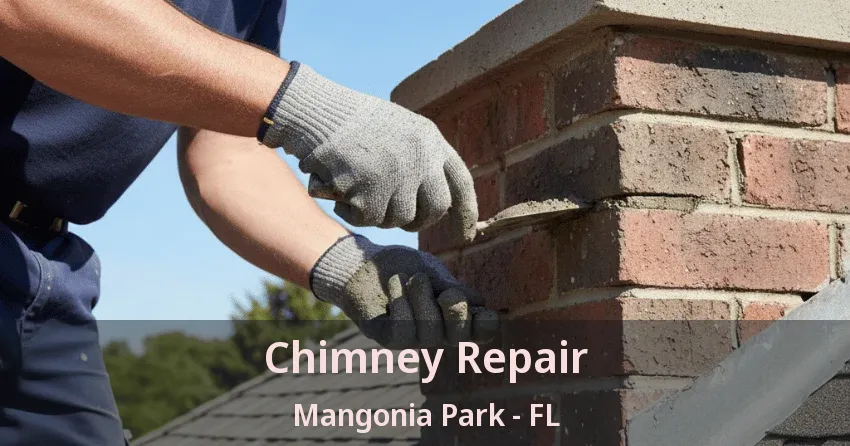 Chimney Repair Mangonia Park - FL