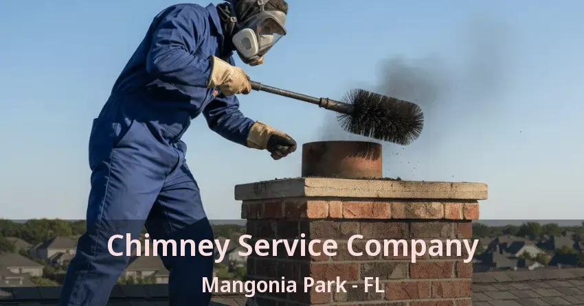 Chimney Service Company Mangonia Park - FL