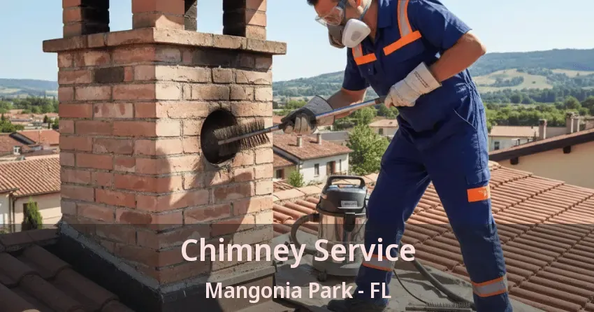 Chimney Service Mangonia Park - FL