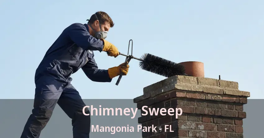 Chimney Sweep Mangonia Park - FL