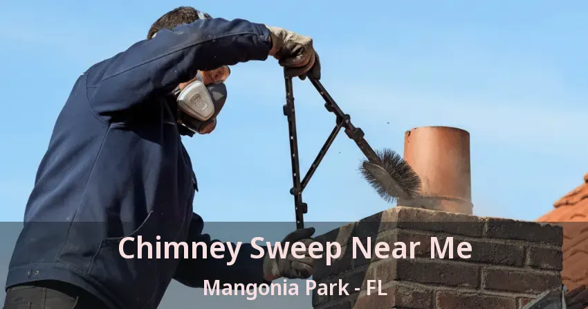 Chimney Sweep Near Me Mangonia Park - FL