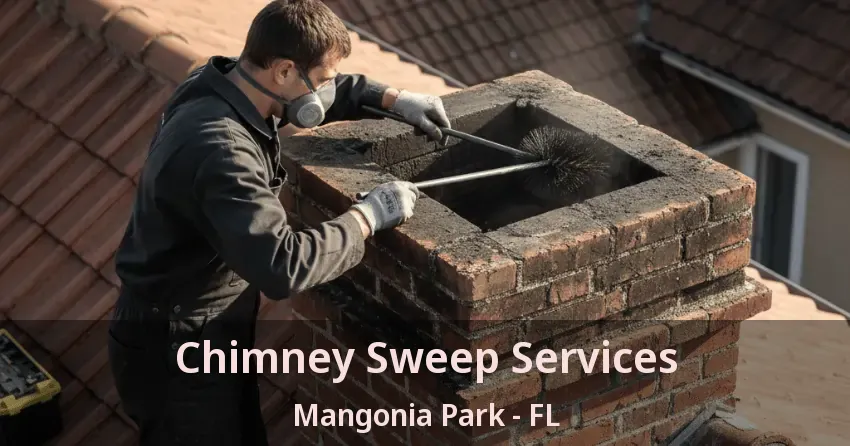 Chimney Sweep Services Mangonia Park - FL