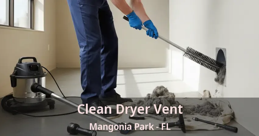 Clean Dryer Vent Mangonia Park - FL Clean Dryer Vent Mangonia Park - FL
