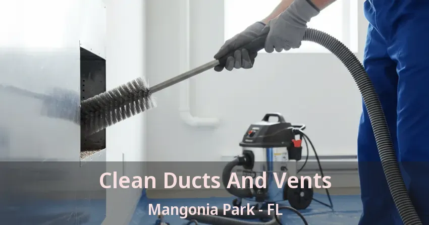 Clean Ducts And Vents Mangonia Park - FL