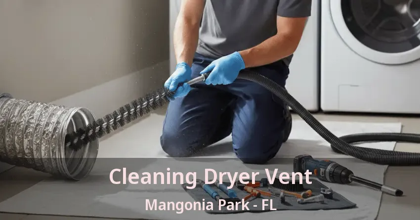 Cleaning Dryer Vent Mangonia Park - FL