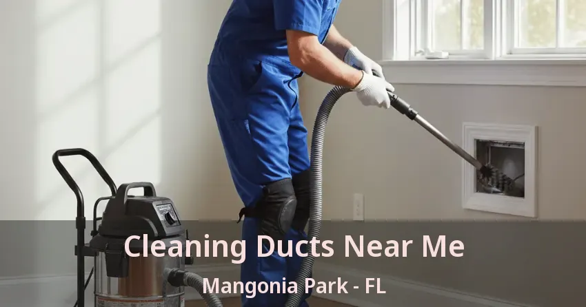 Cleaning Ducts Near Me Mangonia Park - FL