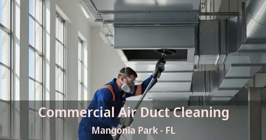 Commercial Air Duct Cleaning Mangonia Park - FL