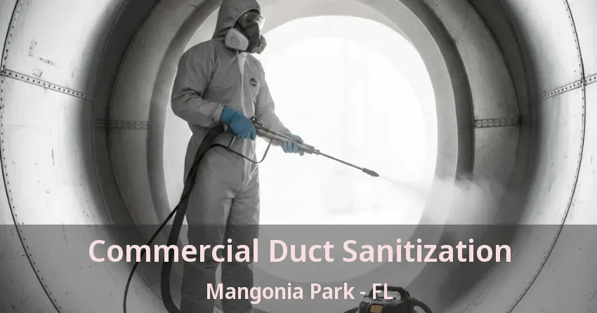 Commercial Duct Sanitization Mangonia Park - FL Commercial Duct Sanitization Mangonia Park - FL