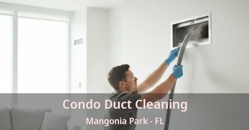 Condo Duct Cleaning Mangonia Park - FL Condo Duct Cleaning Mangonia Park - FL