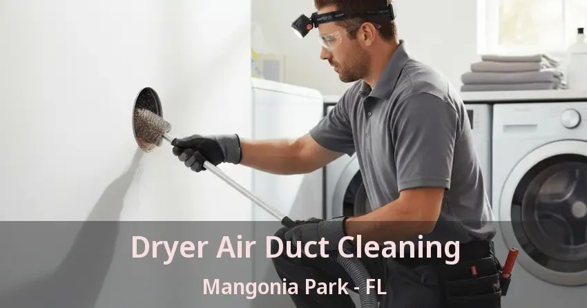 Dryer Air Duct Cleaning Mangonia Park - FL