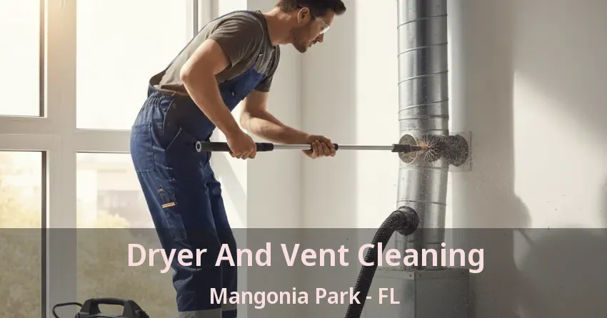 Dryer And Vent Cleaning Mangonia Park - FL