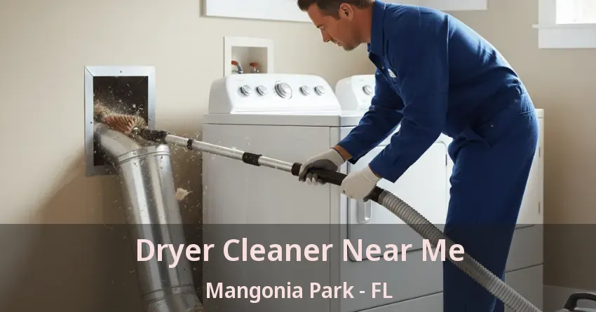 Dryer Cleaner Near Me Mangonia Park - FL