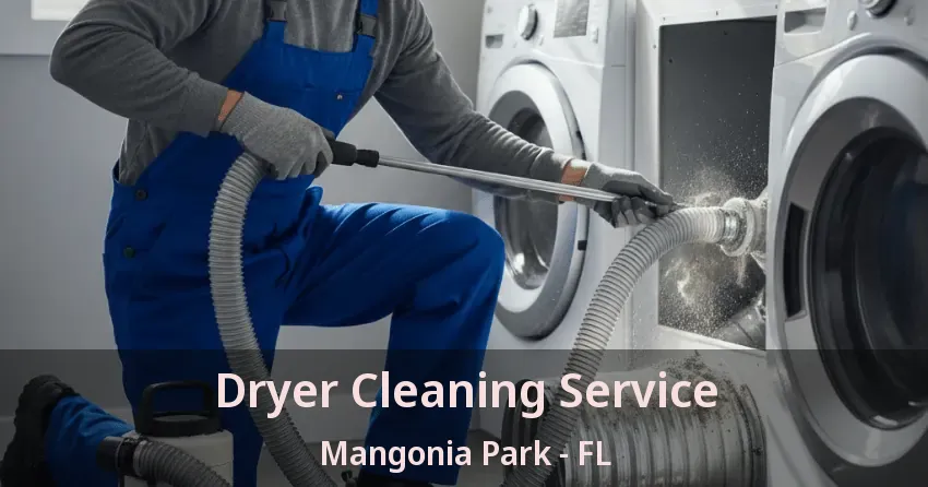 Dryer Cleaning Service Mangonia Park - FL