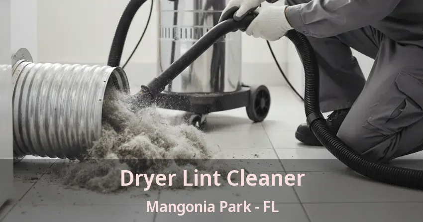 Dryer Lint Cleaner Mangonia Park - FL