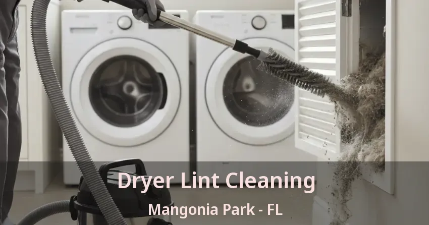 Dryer Lint Cleaning Mangonia Park - FL