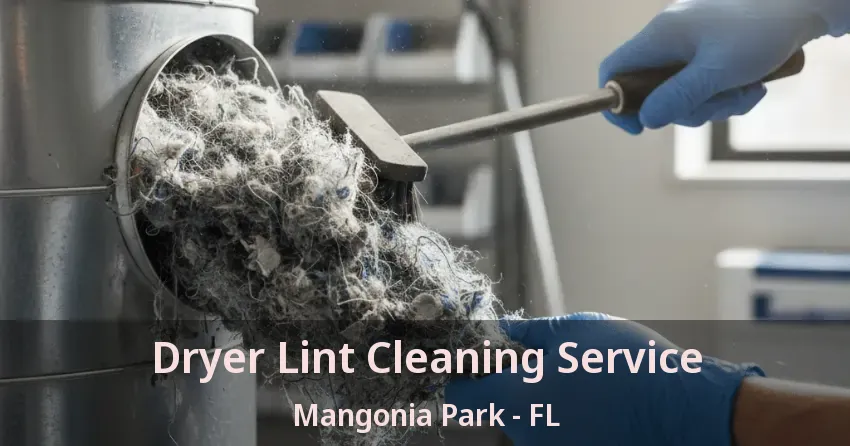 Dryer Lint Cleaning Service Mangonia Park - FL